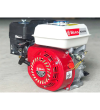  Máy nổ 6.5HP Bgas BGA65HRE (cốt xéo)